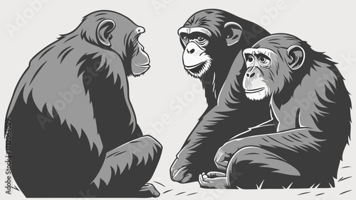 Three chimpanzees sitting together grayscale illustration primate wildlife animal portrait ape family zoology nature illustration wildlife art vector illustration.