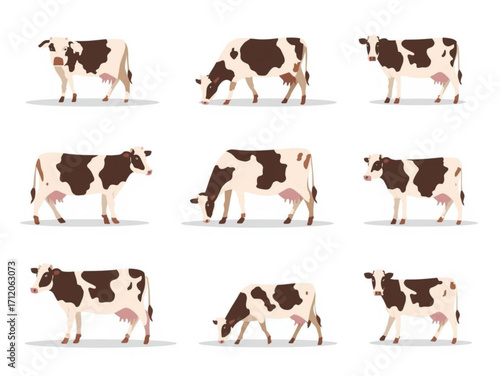 set of cows isolated white background
