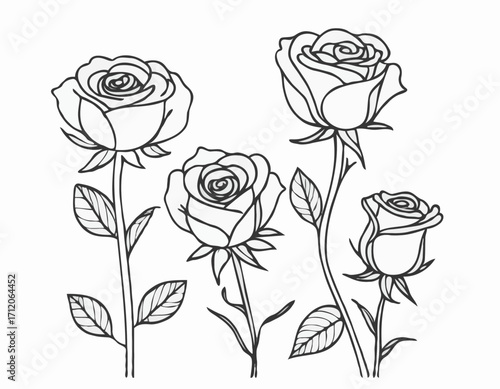 Set of roses sketch hand drawn in doodle style illustration