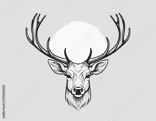Stag deer head sketch vector graphics monochrome black-and-white drawing Vector illustration