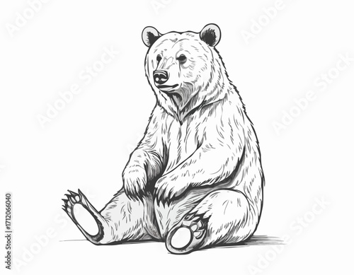 Cute bear animal sitting hand drawn engraving sketch Vector illustration.