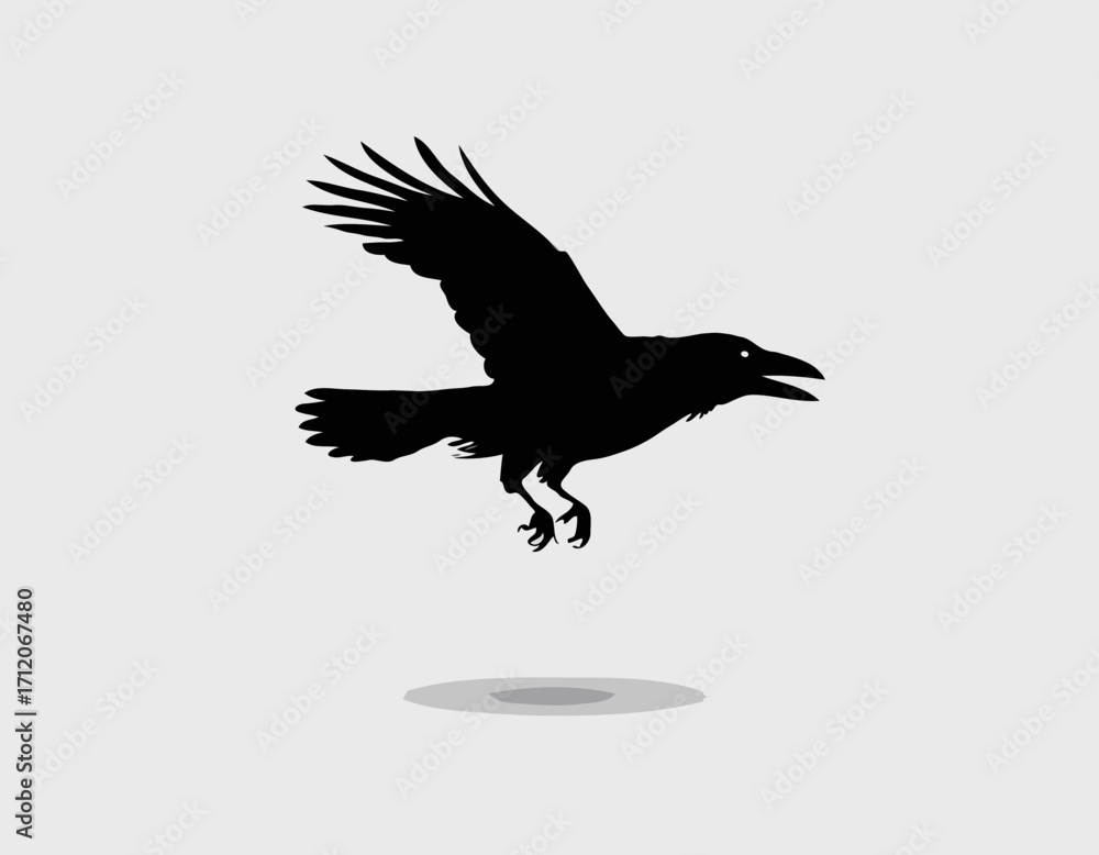 Obraz premium Raven flying silhouette hand drawn sketch illustration