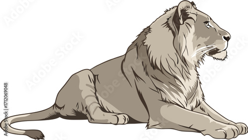Lioness resting wildlife animal illustration big cat majestic feline vector art graphic design element.