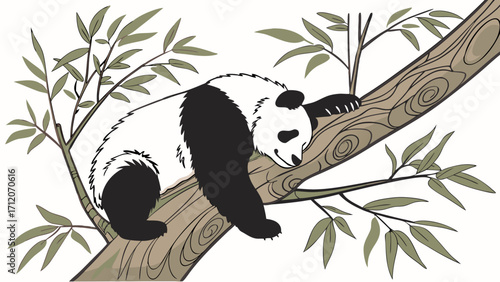 Sleeping Panda Bear on Tree Branch in Bamboo Forest Illustration.