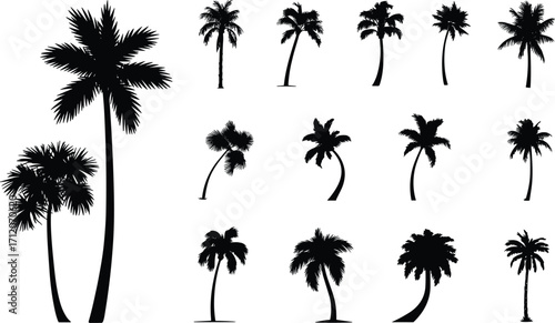 Silhouette palm tree collection, tropical coconut trees set, summer beach decoration, vector illustration of exotic nature plants isolated design.