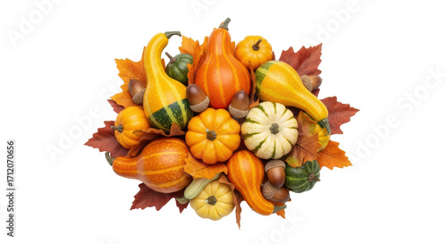 Isolated group of autumn gourds and oak acorns with brown and golden fall leaves display