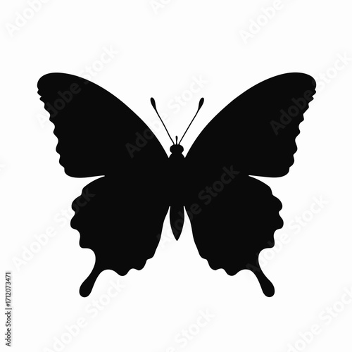 Black silhouette of a butterfly with rounded wings, plain white background