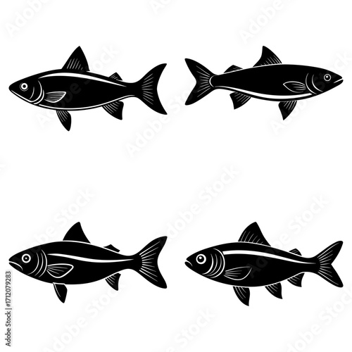 Illustration showcasing four stylized fish in black and white with detailed fin and body features