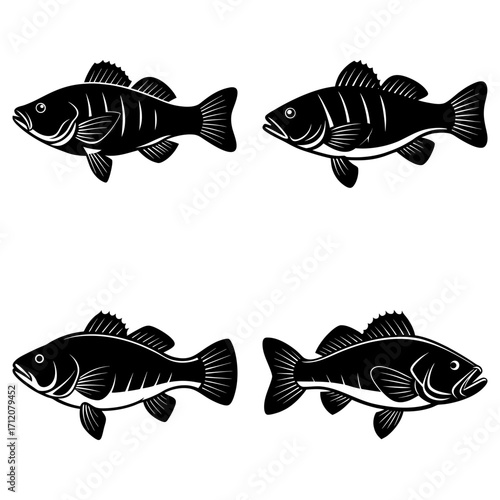 Four stylized black and white fish illustrations arranged in a square formation on a white background