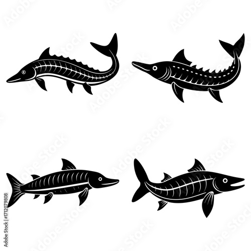 Four stylized black sturgeon fish with detailed fins and body markings on a white background design