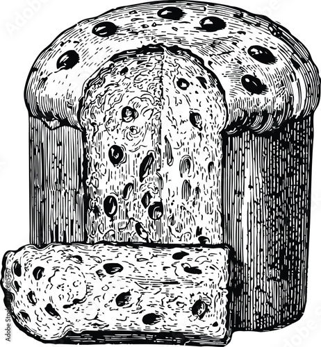 Italian Panettone Bread Engraved and Etching Illustration