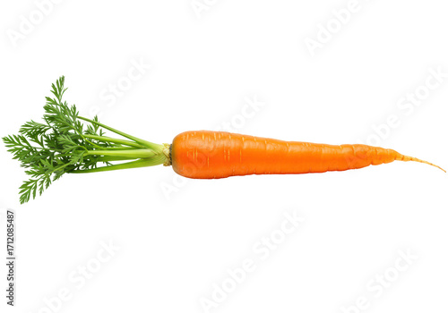 Isolated orange carrot with green leaves, single vegetable food photography, natural light