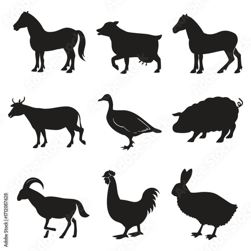 Animal vector, Animal design, Animal concept, Animal post, Animal cartoon, Animal icon, Animal template, Animal art, Animal topics, Animal doodle, Animal clipart