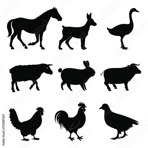 Animal vector, Animal design, Animal concept, Animal post, Animal cartoon, Animal icon, Animal template, Animal art, Animal topics, Animal doodle, Animal clipart