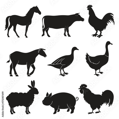 Animal vector, Animal design, Animal concept, Animal post, Animal cartoon, Animal icon, Animal template, Animal art, Animal topics, Animal doodle, Animal clipart