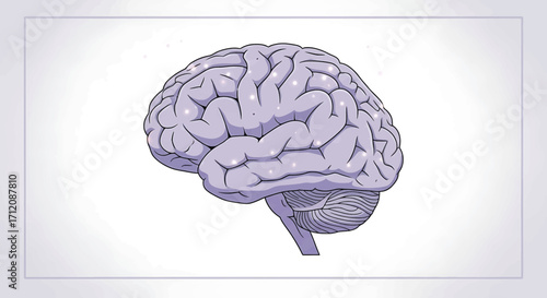 Human brain representing intelligence and cognitive function on white backdrop, showcasing the complexity of the mind with intricate details and a scientific theme.