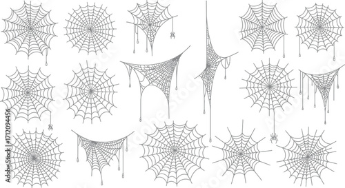 Intricate and delicate spider webs with hanging dew drops, perfect for Halloween or nature themes.