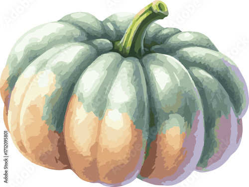 Vector watercolor painted illustration of an acorn squash