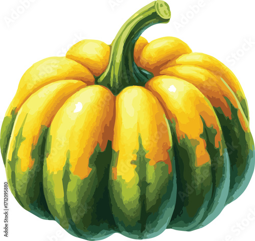 Vector watercolor painted illustration of an acorn squash