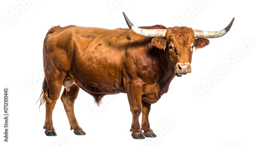 A large brown bull with long horns standing, isolated on transparent background
