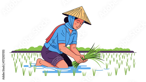 A Day in the Rice Field: A serene scene of a farmer, diligently planting rice seedlings in a flooded paddy field, offering a glimpse into the age-old practice of rice cultivation.