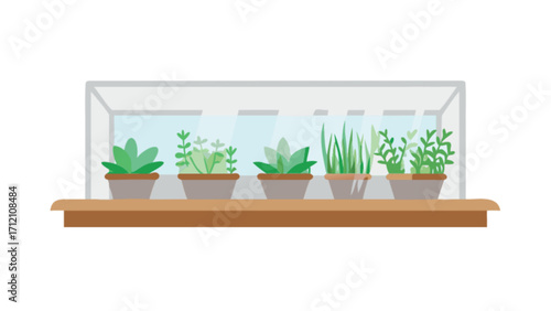 Indoor herb garden plants in pots on windowsill growing herbs at home gardening concept