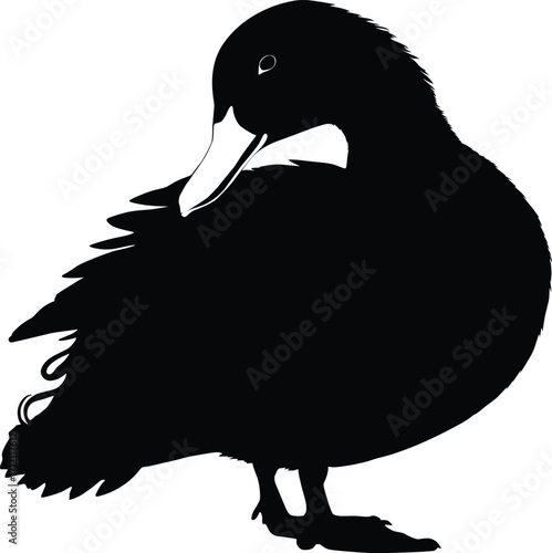 duck silhouette on whit background