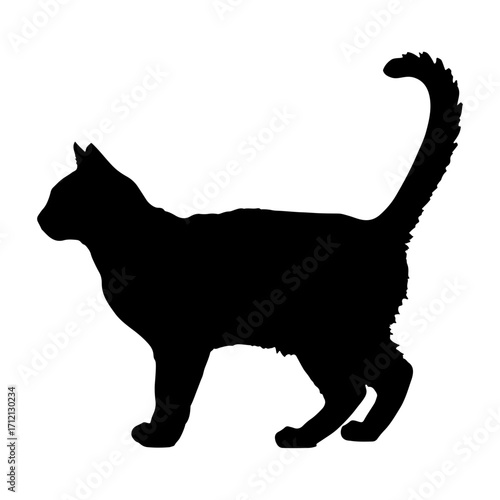 silhouette of a black cat