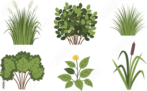 Botanical plant illustrations, diverse leaf shapes, green foliage, vector drawing, nature elements, garden flora, herbal design, isolated on white background