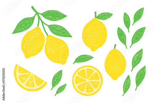 Hand drawn lemon illustration set with pencil texture. Cute naive vector collection of ripe summer citrus fruits, whole lemons, slices, leaves and branches for design.