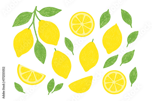 Hand drawn lemon set with pencil texture. Cute naive illustration of ripe citrus fruit, slices, and leaves. Vector collection of summer food design elements for fresh concepts.