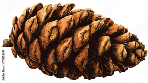 Close-Up Cedar Cone Symbolizing Nature's Beauty