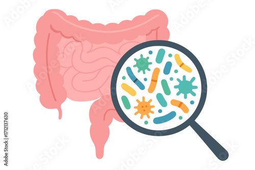 Gut microbiota and intestine flora viewed under a magnifying glass. Human microbiome concept. Probiotics and prebiotics. Digestive system health. Bacteria and microorganisms.