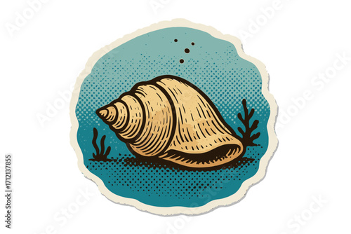 Seashell vintage halftone collage illustration. Torn paper sticker effect. Conch shell on ocean floor. Coastal wildlife, tropical sea life, underwater marine concept.