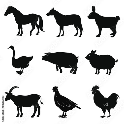 Animal vector, Animal design, Animal concept, Animal post, Animal cartoon, Animal icon, Animal template, Animal art, Animal topics, Animal doodle, Animal clipart