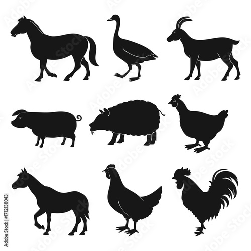 Animal vector, Animal design, Animal concept, Animal post, Animal cartoon, Animal icon, Animal template, Animal art, Animal topics, Animal doodle, Animal clipart