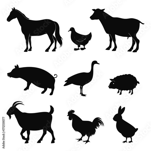 Animal vector, Animal design, Animal concept, Animal post, Animal cartoon, Animal icon, Animal template, Animal art, Animal topics, Animal doodle, Animal clipart
