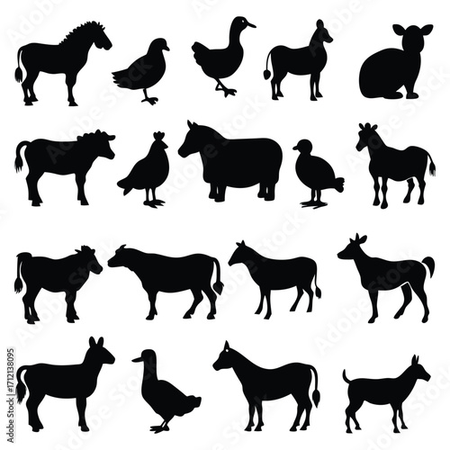 Animal vector, Animal design, Animal concept, Animal post, Animal cartoon, Animal icon, Animal template, Animal art, Animal topics, Animal doodle, Animal clipart