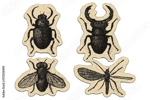 Vintage Bugs collage with textured grunge halftone effect, torn paper stickers featuring retro Y2K insects, bitmap grain punk aesthetic, vector cartoon style insect illustrations for design