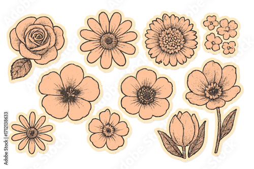 Vintage spring flowers kit collage, retro bitmap flowerheads top view, girly aesthetic floral collection, scrapbooking cutout elements, trendy stickers with photocopy texture