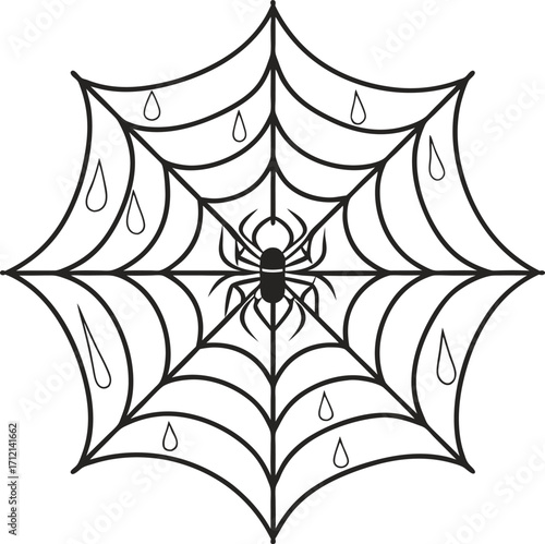 Vector art of a spider and its web with water droplets