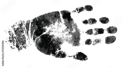 Forensic Evidence Collection of Handprint, Footprint, and Fingerprint for Analysis