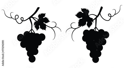 Black silhouette illustration depicting two bunches of grapes with leaves