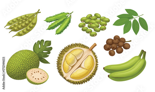 Vector illustration of vegetable and fruit