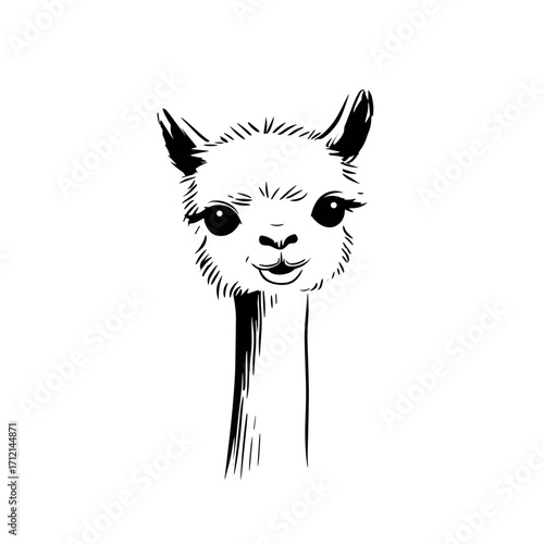 alpaca. alpaca simple black and white line art vector logo