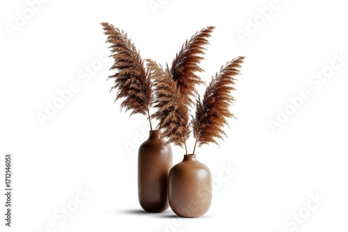 Dried pampas grass in a vase isolated on white