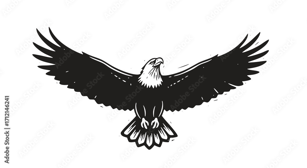 Obraz premium Bald eagle soaring in air monochrome illustration. Isolated, vector of eagle engraving style