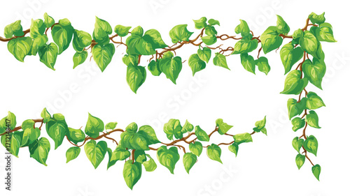 Cartoon Jungle Liana Tropical Vine Branch Creeper for Adobe Stock Photos