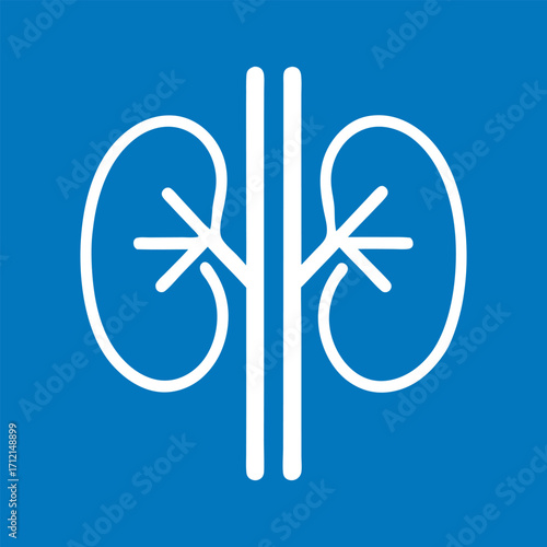 Stylized outline of two kidneys connected by a central vessel