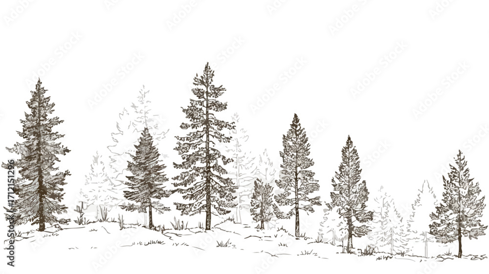 Naklejka premium Minimalist Pine Tree Forest Illustration
